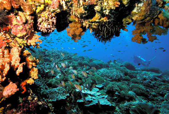indonezia_12_06_3